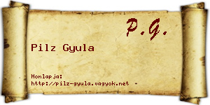 Pilz Gyula névjegykártya
